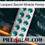 Leopard Secret Miracle Honey dapoxetine1